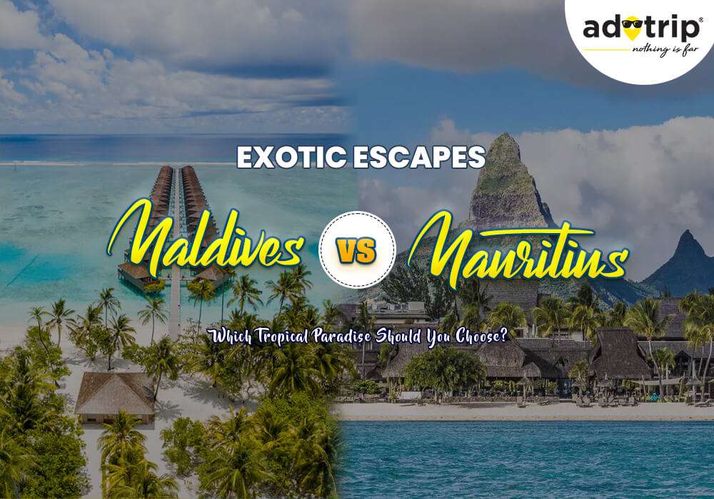 Maldives vs Mauritius